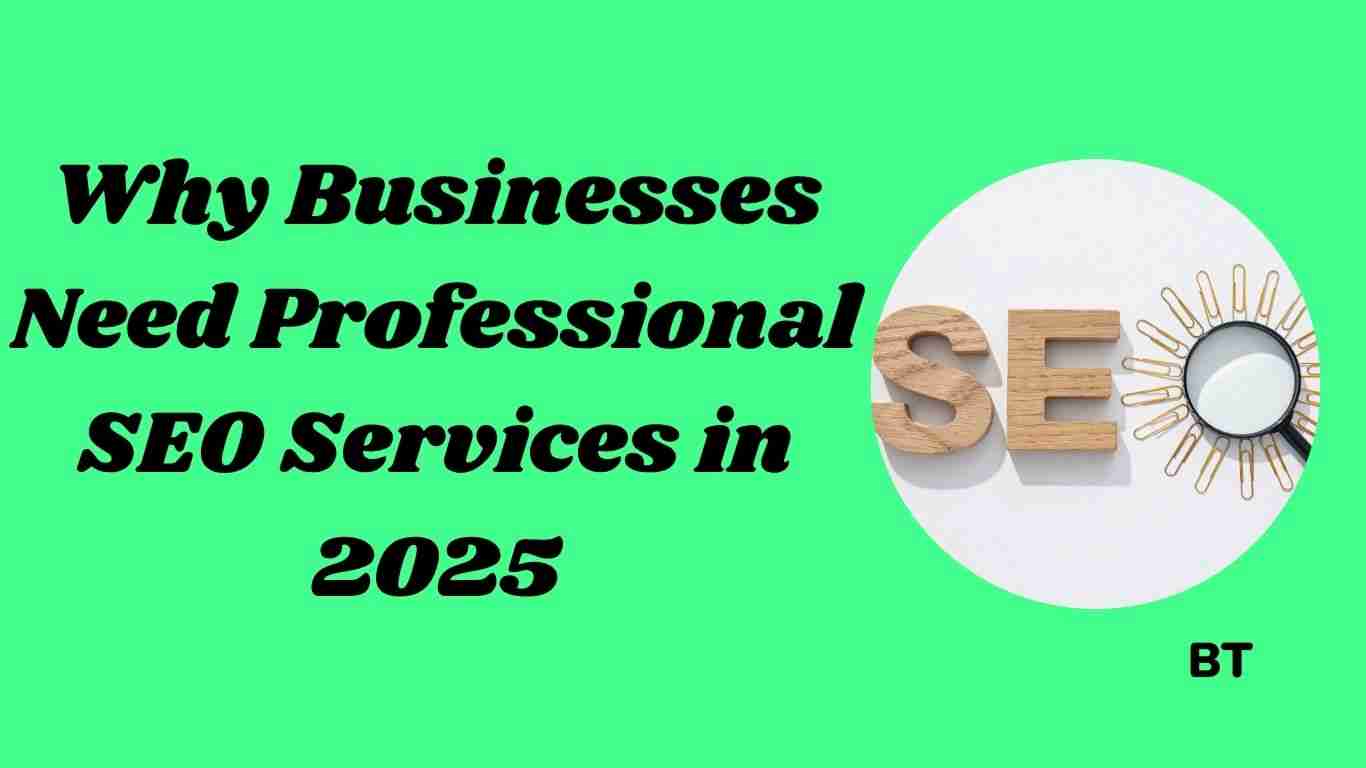 Why Businesses Need Professional SEO Services in 2025